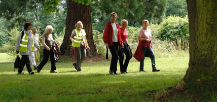 Walkers in Woods, photo thanks to Walking for Health