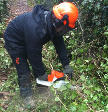 Council officer clearing fallen trees near Paulton
